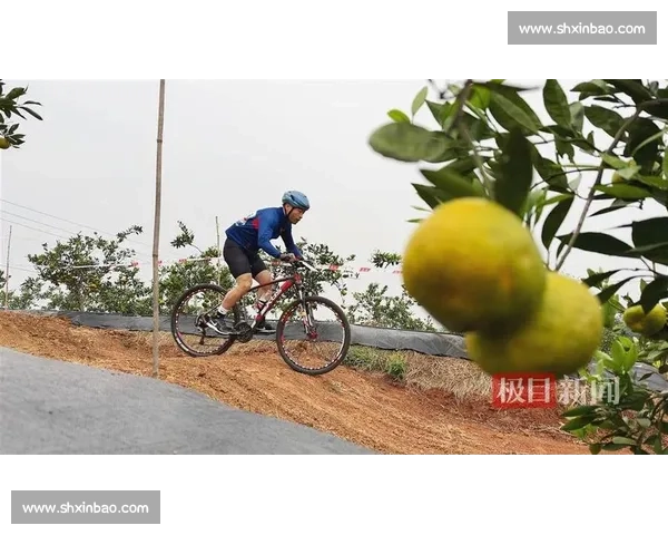 橘海狂飙！当阳万亩橘园上演全国车手竞速赛
