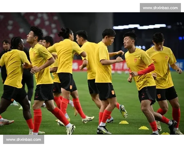 国足对阵新加坡比赛视频解析进攻防守亮点与未来调整方向展望提升空间