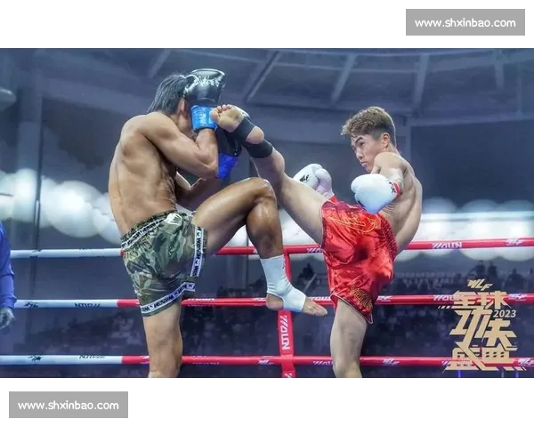 张开印对决播求巅峰一战胜负揭晓谁才是真正王者赛场全程回顾与技术解析 张开印对决播求巅峰一战胜负揭晓谁才是真正王者赛场全程回顾与技术解析