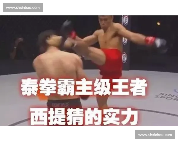 方便西提猜巅峰对决解析中国力量与泰拳王者胜负走向全面剖析赛场策略与时代意义