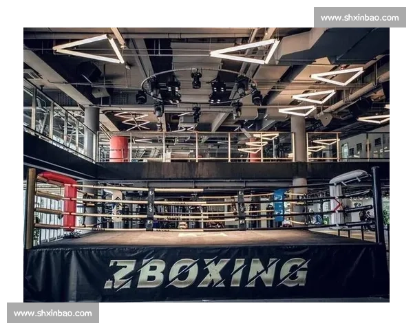 熊朝忠对决邹市明揭开中国拳击巅峰之战时代篇章传奇荣耀擂台较量风云